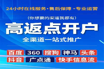 百度竞价排名机制：成功案例与策略探讨